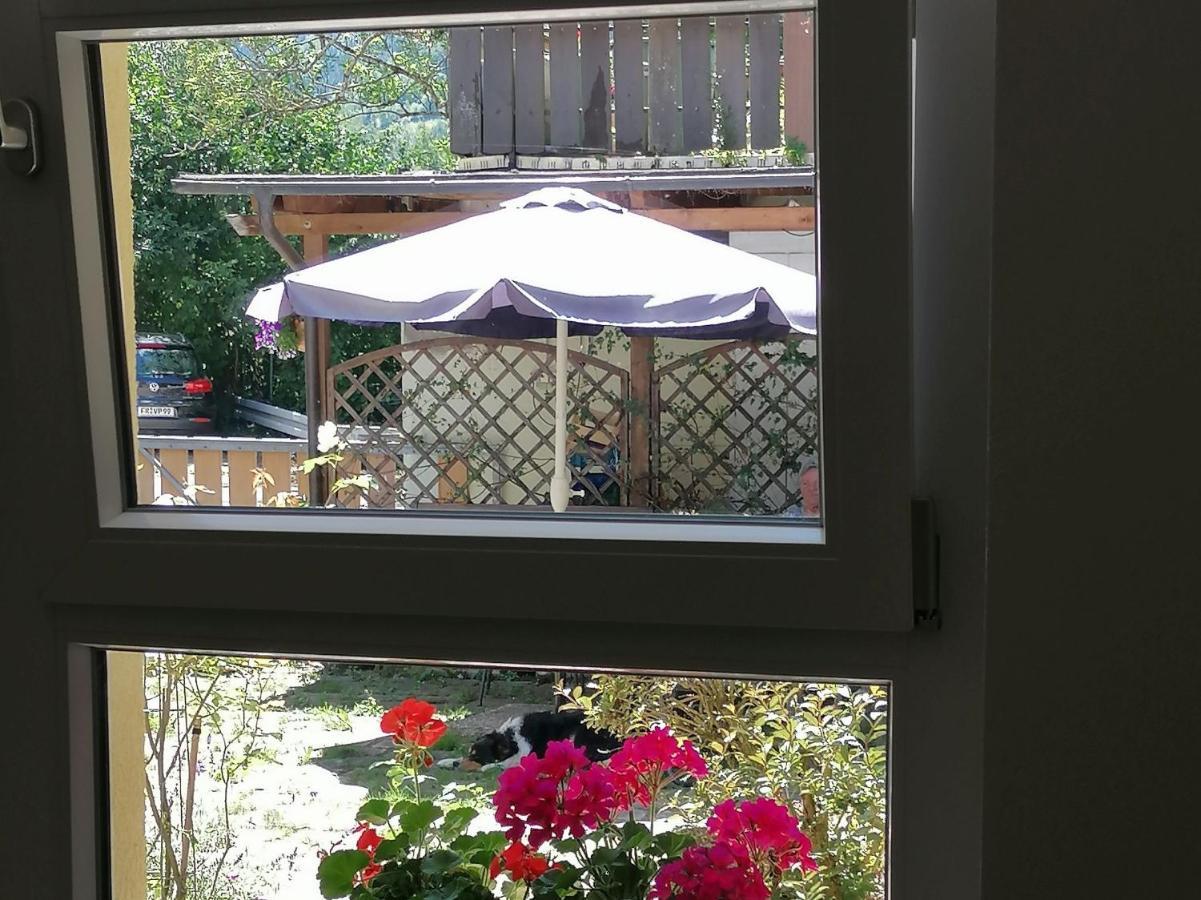 Jogis Ferienwohnungen Freiburg im Breisgau Eksteriør billede